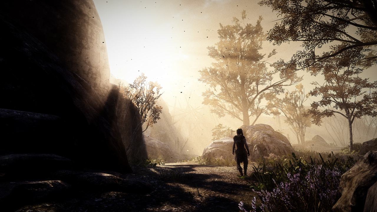 性质, 光, 阳光, 气氛, 早上 壁纸 1280x720 允许