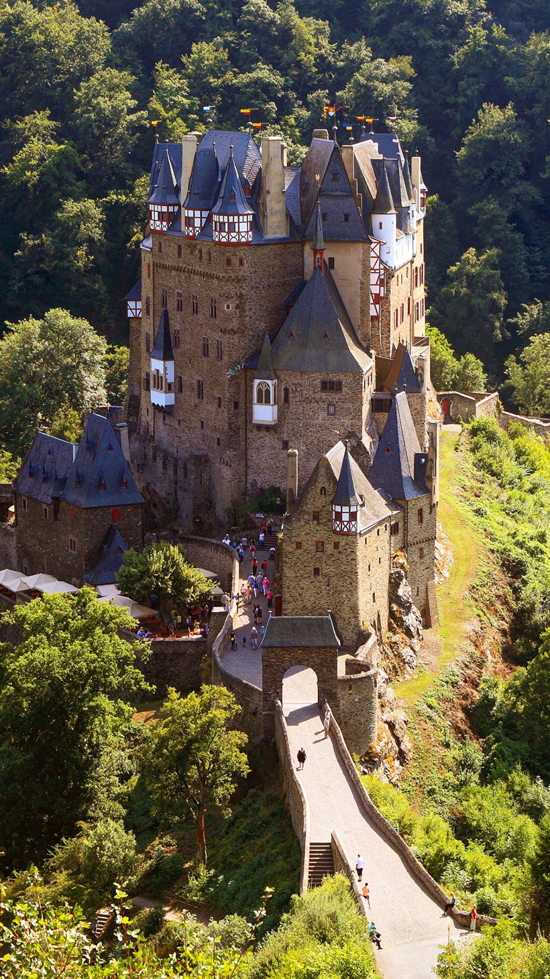 Aerial View of Gray Castle Surrounded by Green Trees During Daytime. Wallpaper in 1080x1920 Resolution