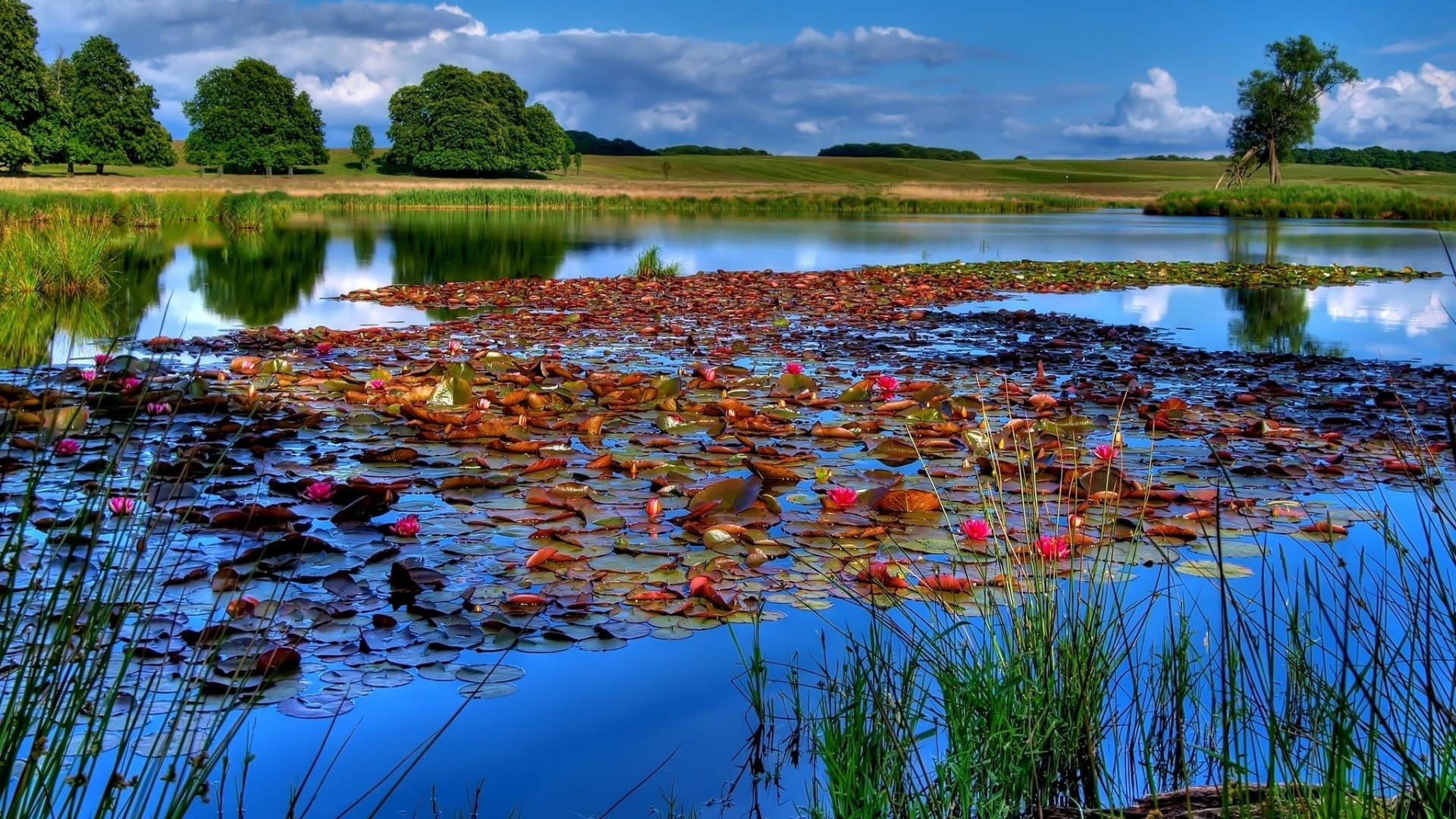 Green Grass Field Near Lake Under Blue Sky During Daytime. Wallpaper in 1920x1080 Resolution