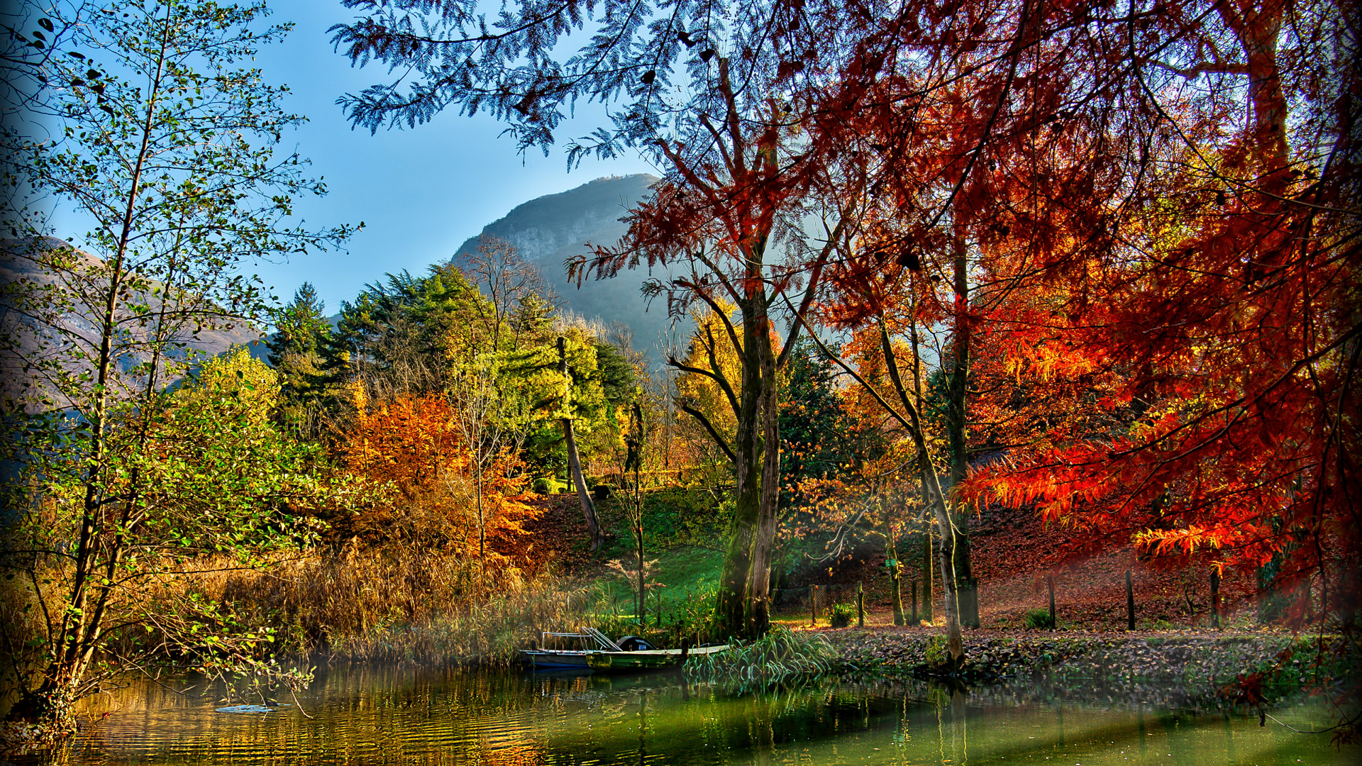 Arbres Bruns à Côté de la Rivière Pendant la Journée. Wallpaper in 1920x1080 Resolution