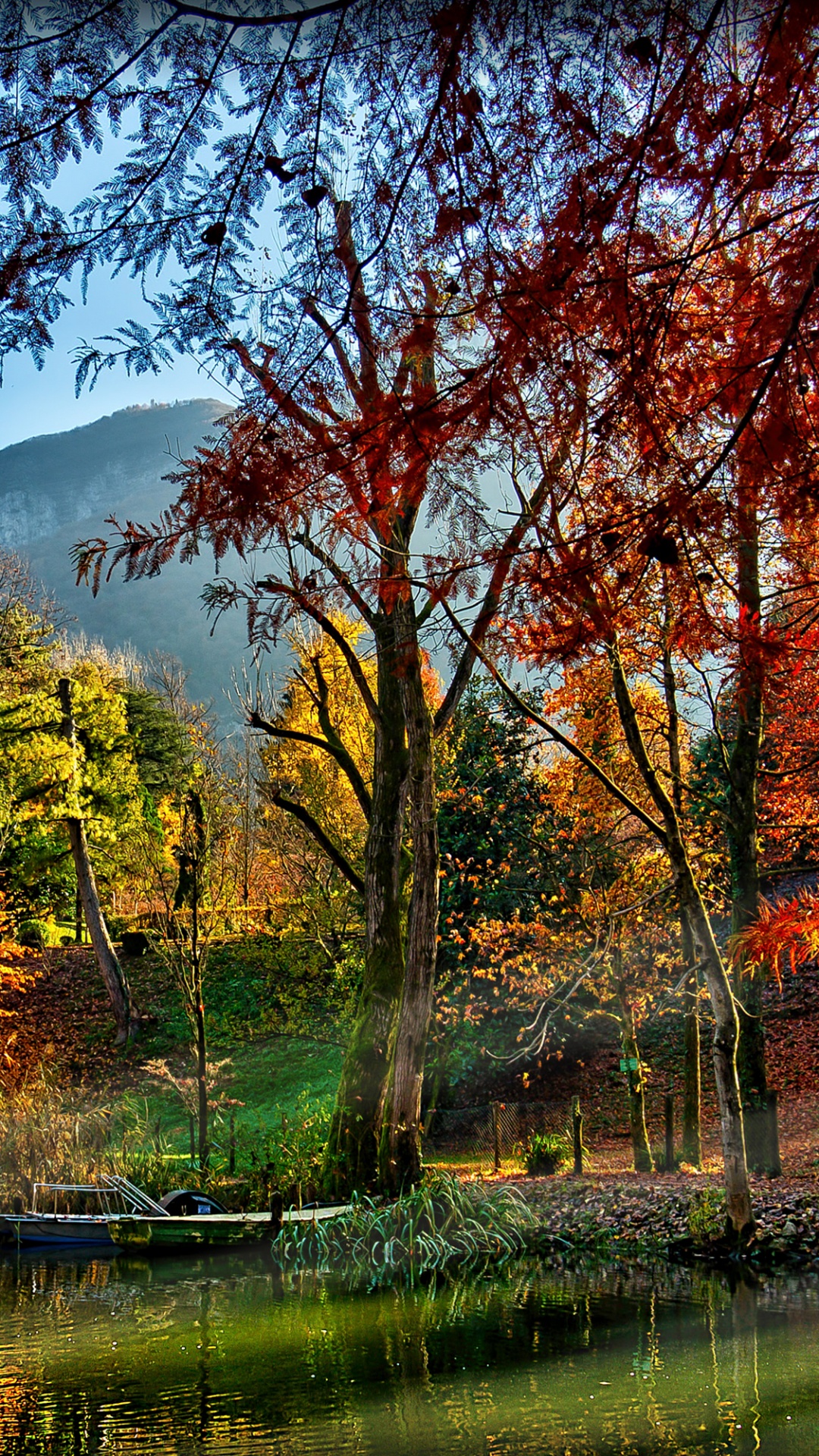 Brown Trees Beside River During Daytime. Wallpaper in 1080x1920 Resolution