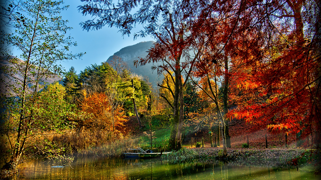 Brown Trees Beside River During Daytime. Wallpaper in 1366x768 Resolution