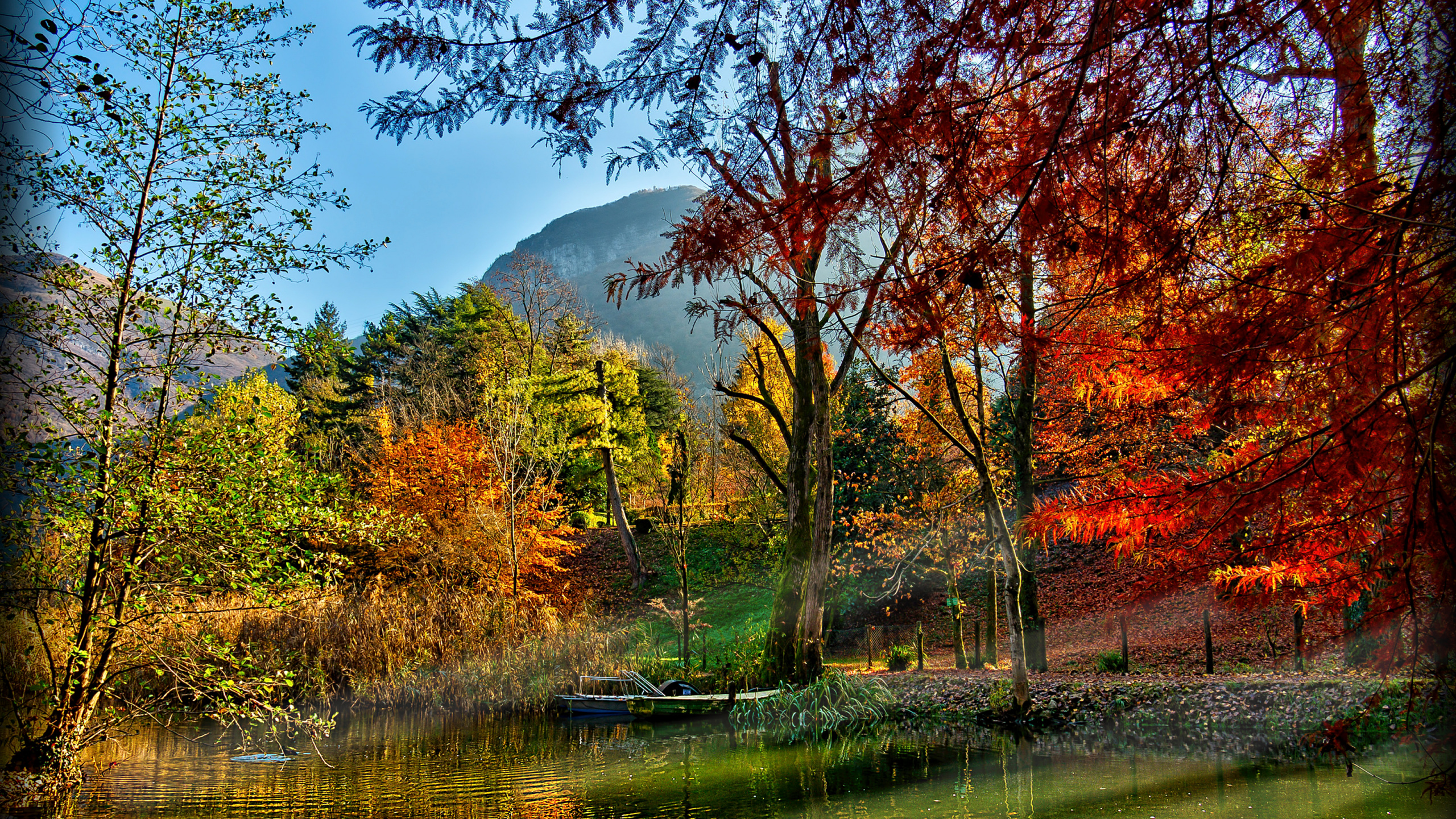 Brown Trees Beside River During Daytime. Wallpaper in 2560x1440 Resolution