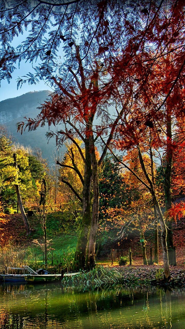 Brown Trees Beside River During Daytime. Wallpaper in 720x1280 Resolution