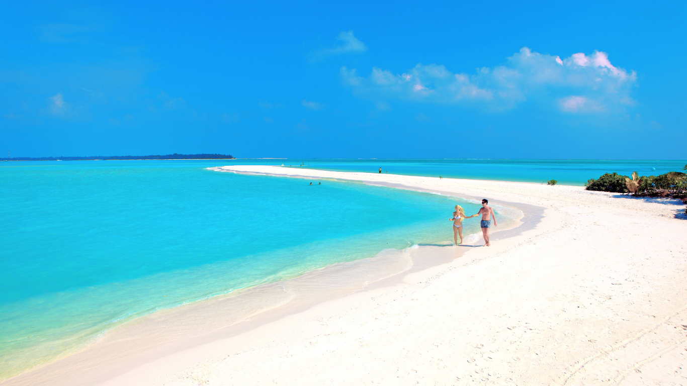 People on Beach During Daytime. Wallpaper in 1366x768 Resolution