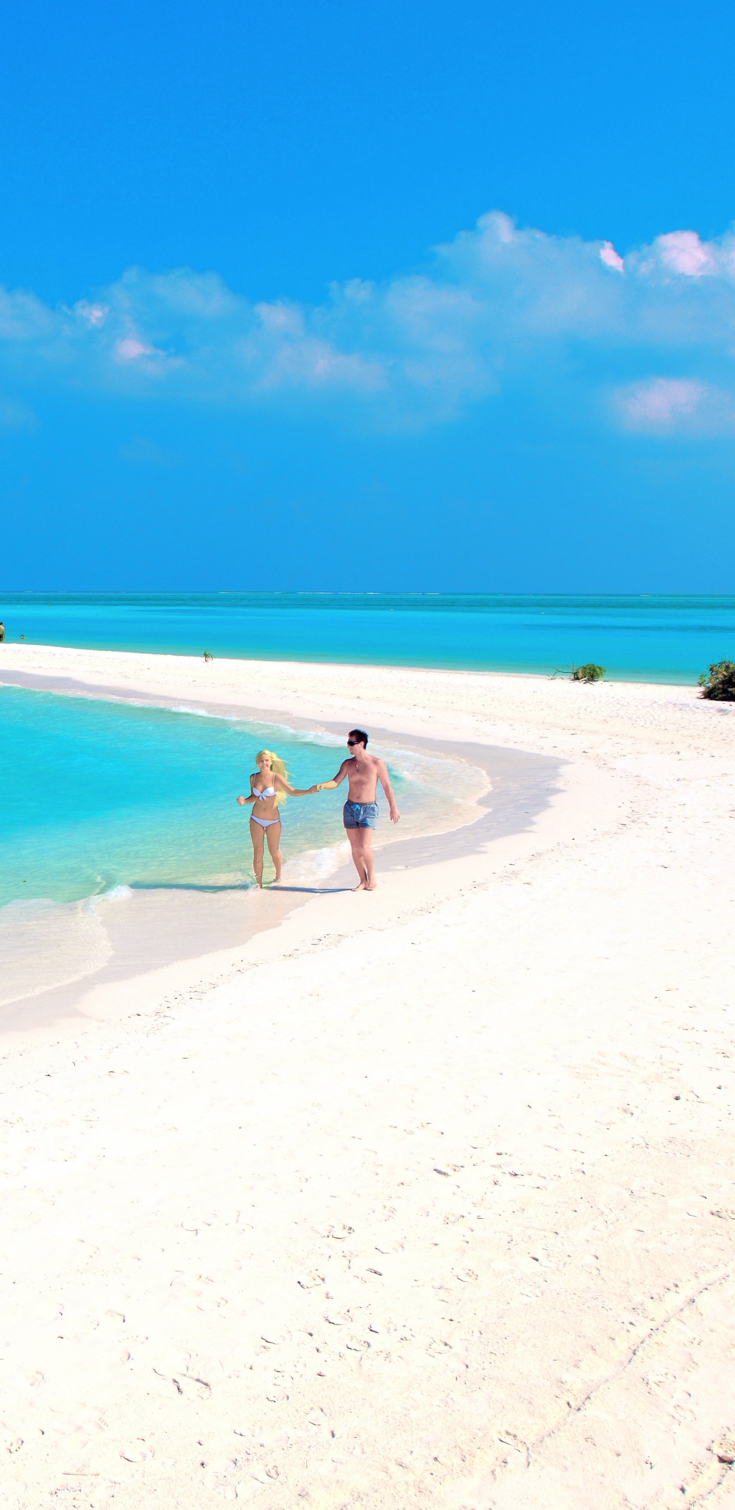 People on Beach During Daytime. Wallpaper in 1440x2960 Resolution