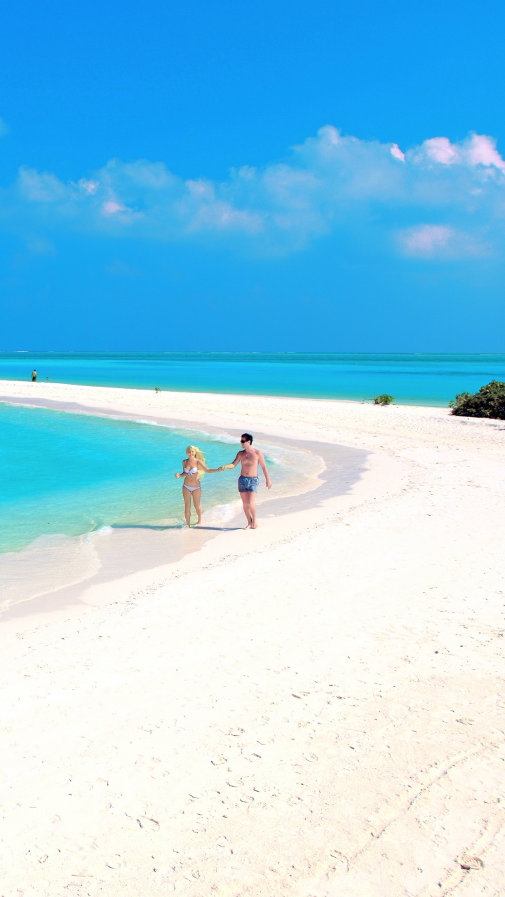 People on Beach During Daytime. Wallpaper in 720x1280 Resolution