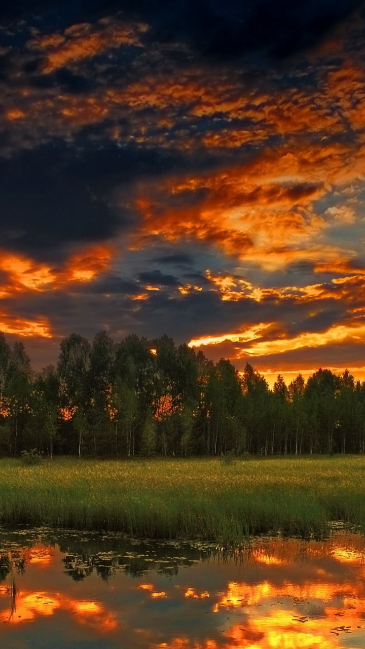 Green Grass Field Near Body of Water During Sunset. Wallpaper in 720x1280 Resolution