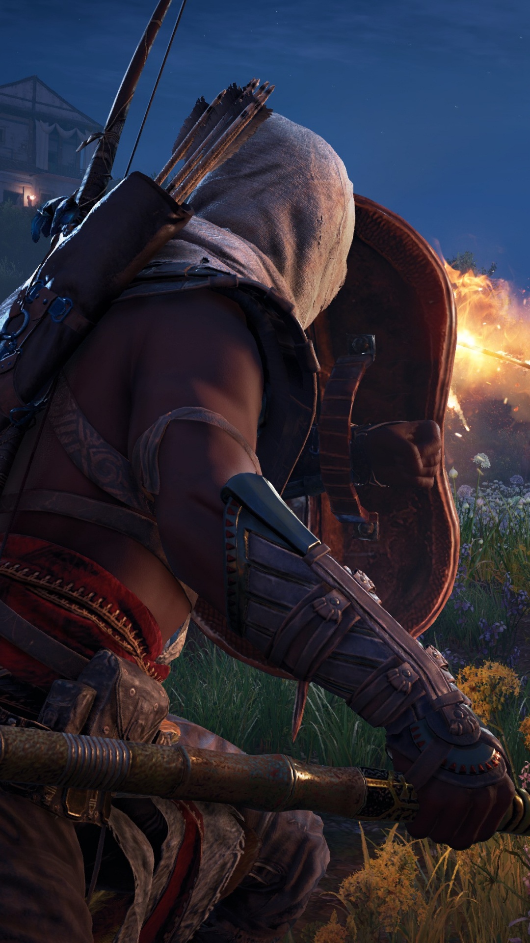 Assassins Creed Orígenes, Assassins Creed, Ubisoft, Juego de Pc, Asesino. Wallpaper in 1080x1920 Resolution