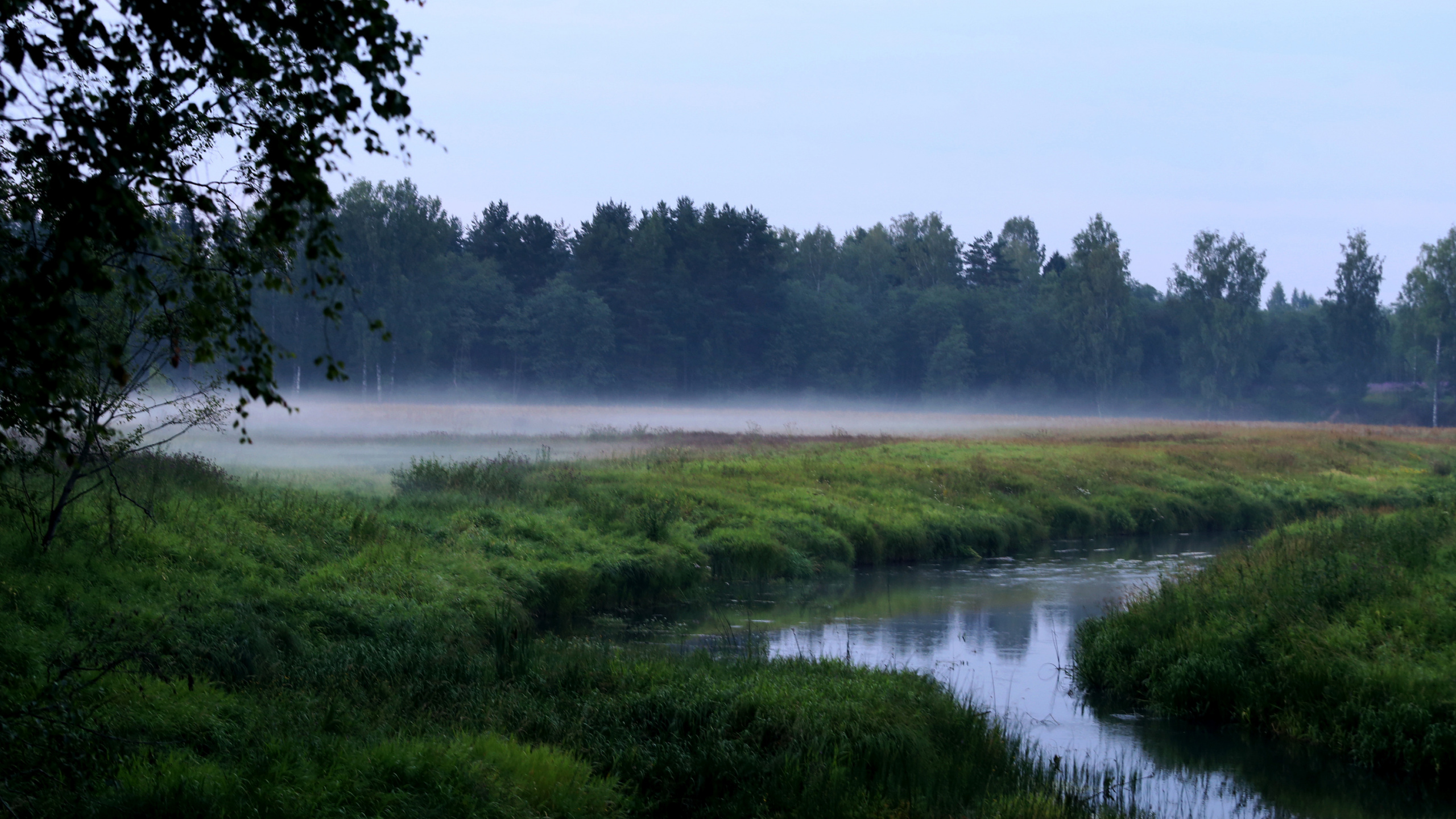 Green Grass Field Near Lake During Daytime. Wallpaper in 2560x1440 Resolution