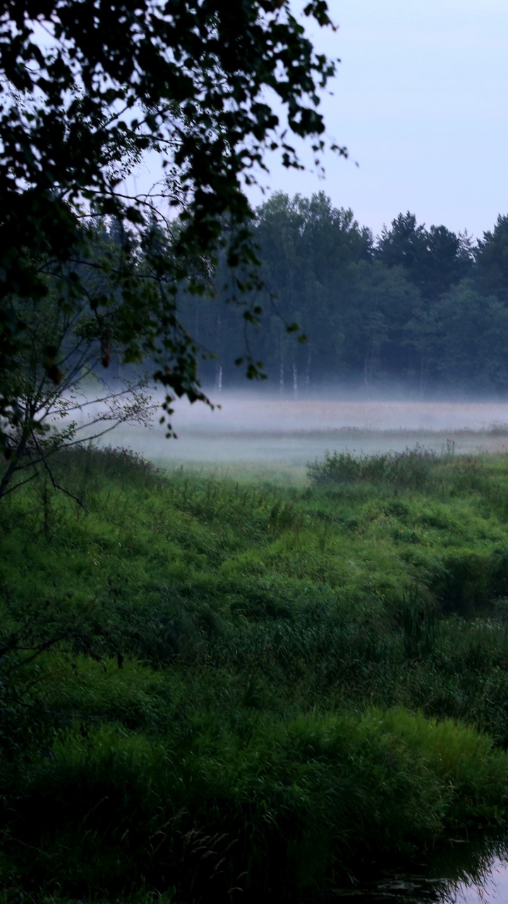 Green Grass Field Near Lake During Daytime. Wallpaper in 720x1280 Resolution