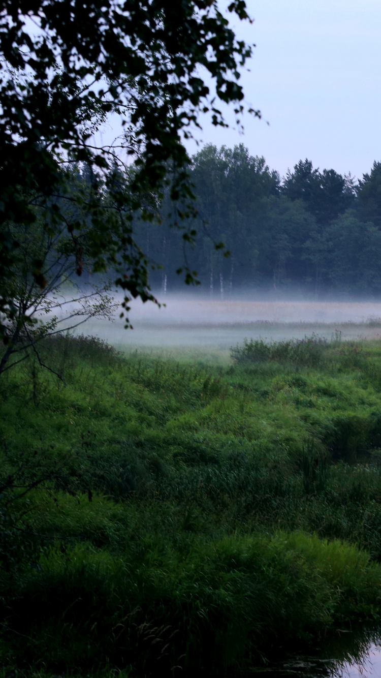 Green Grass Field Near Lake During Daytime. Wallpaper in 750x1334 Resolution