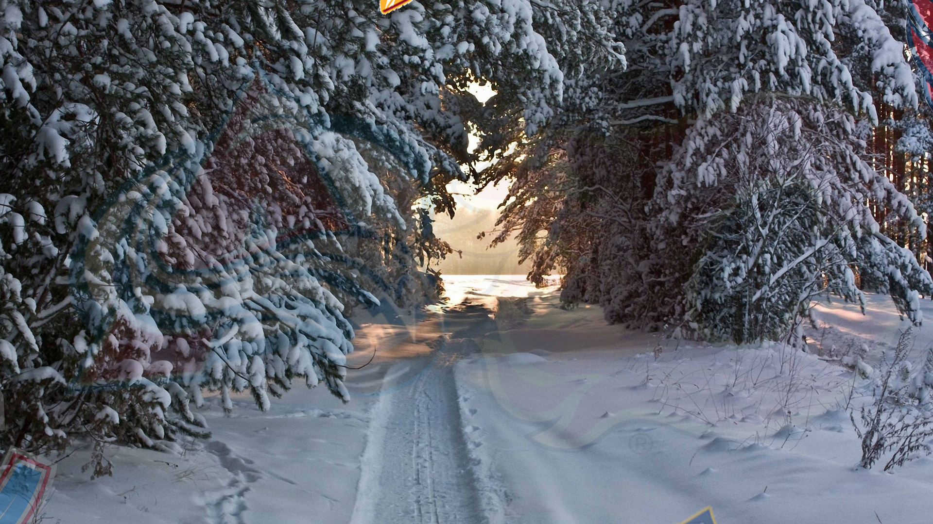 Schneebedeckte Straße Zwischen Bäumen Tagsüber. Wallpaper in 1920x1080 Resolution