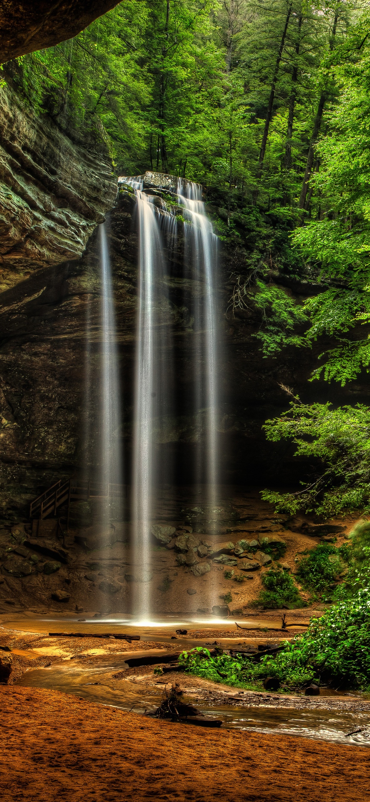 el Agua Cae en Medio Del Bosque. Wallpaper in 1242x2688 Resolution