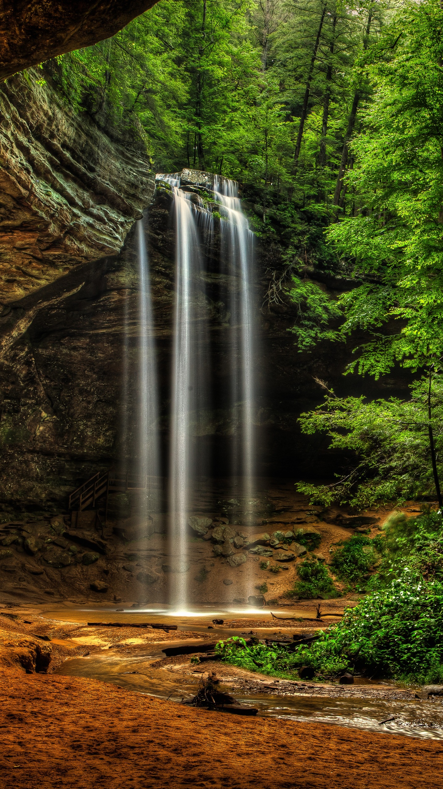 el Agua Cae en Medio Del Bosque. Wallpaper in 1440x2560 Resolution