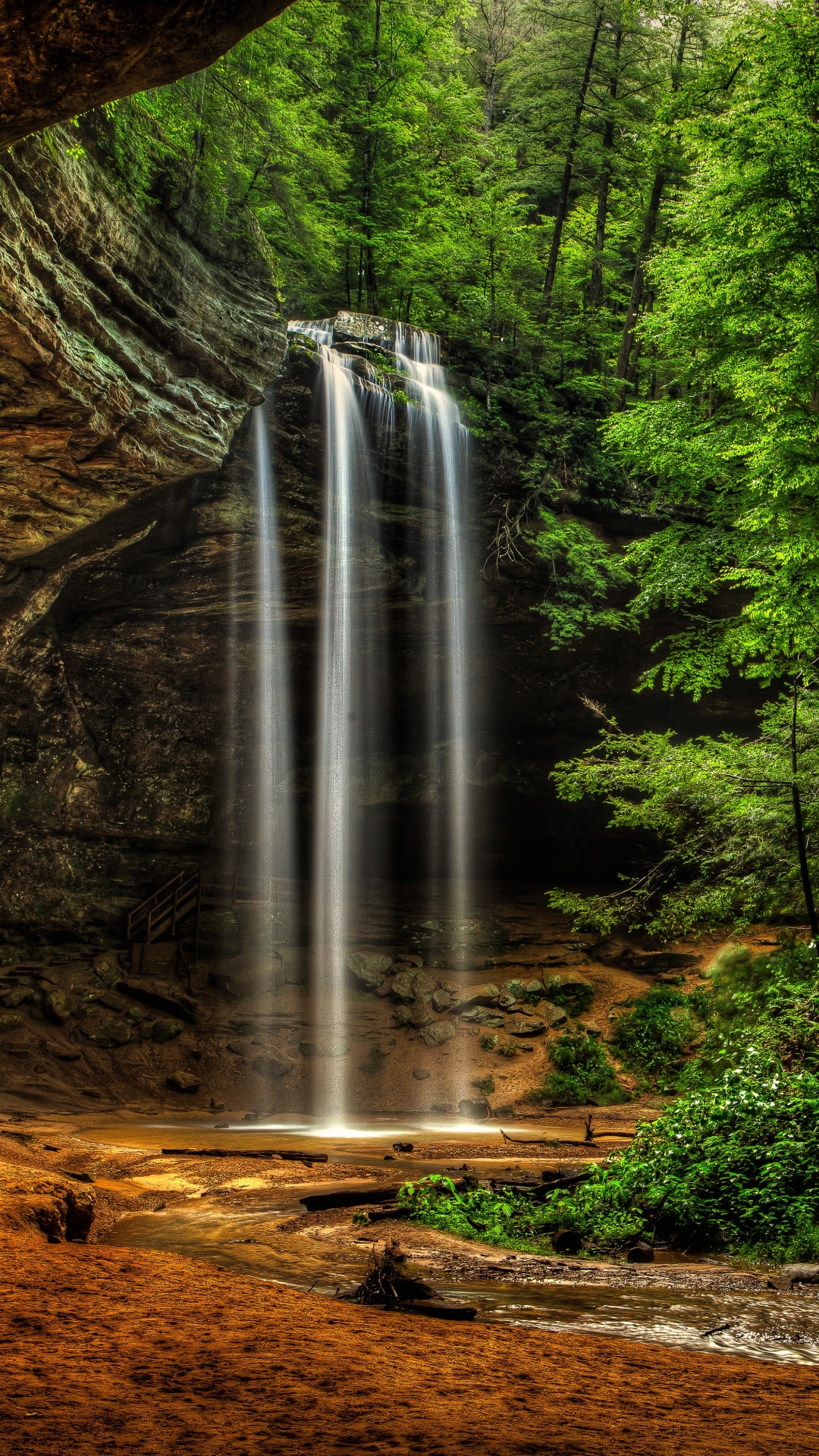 Water Falls in The Middle of Forest. Wallpaper in 1080x1920 Resolution