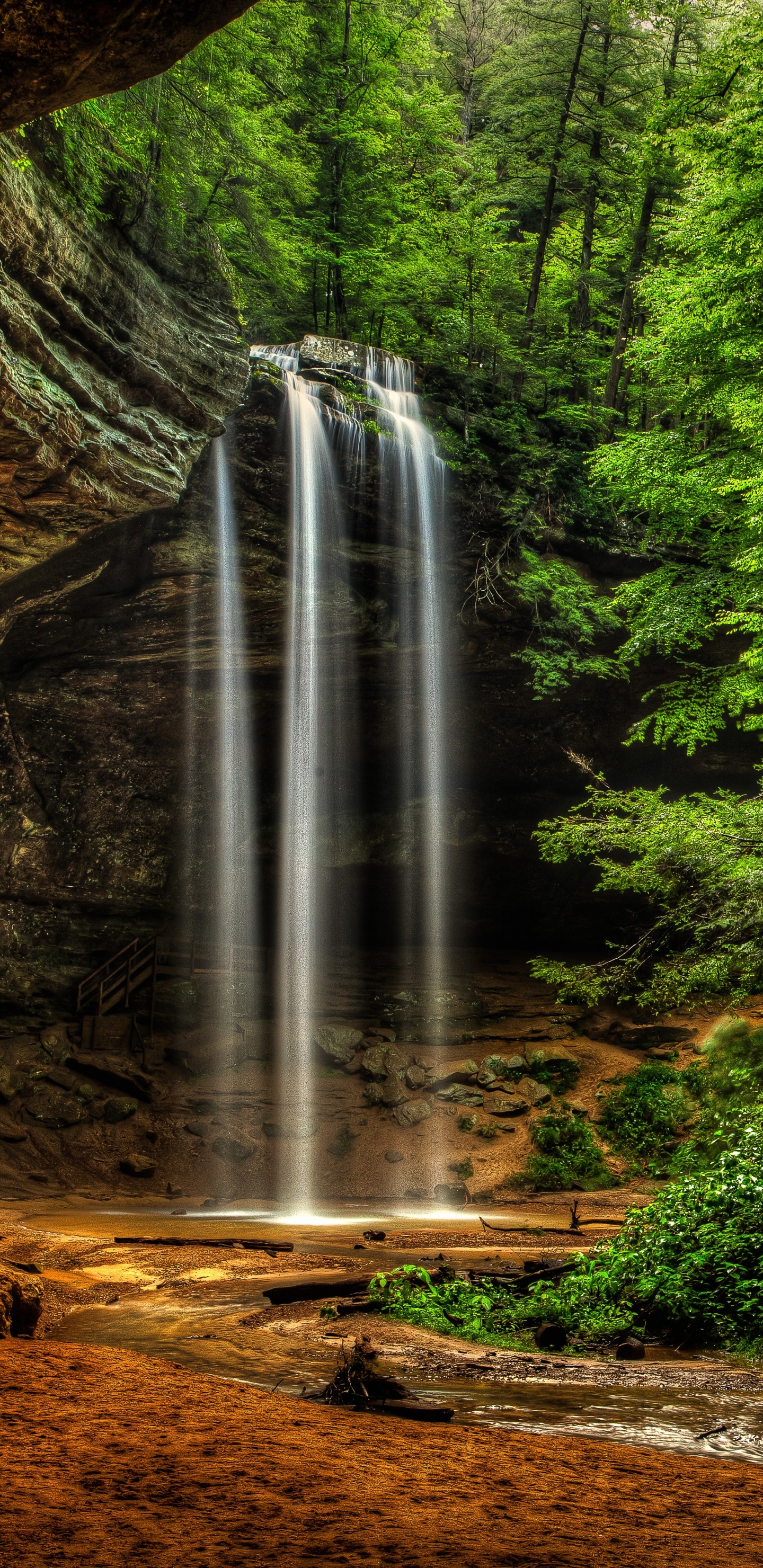 Water Falls in The Middle of Forest. Wallpaper in 1440x2960 Resolution