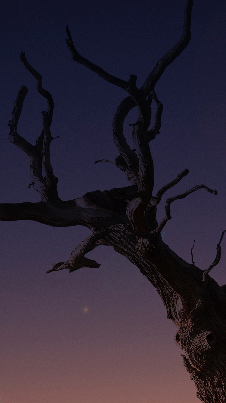 Apple, IPhone, IPhone X, Äpfeln, Ios. Wallpaper in 750x1334 Resolution