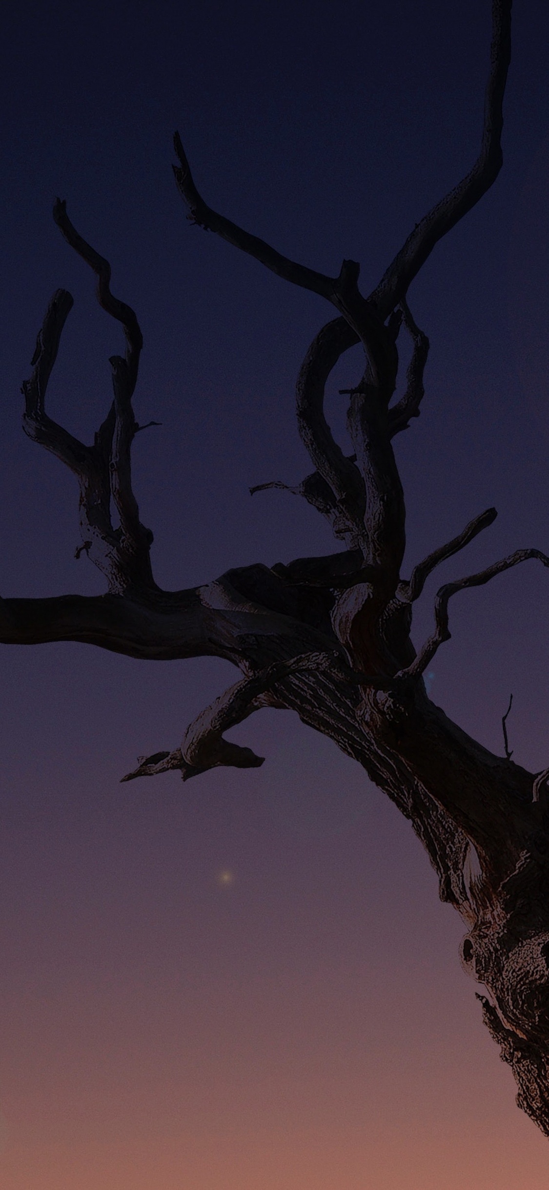 Apple, IPhone, IPhone X, Manzana, Ios. Wallpaper in 1125x2436 Resolution