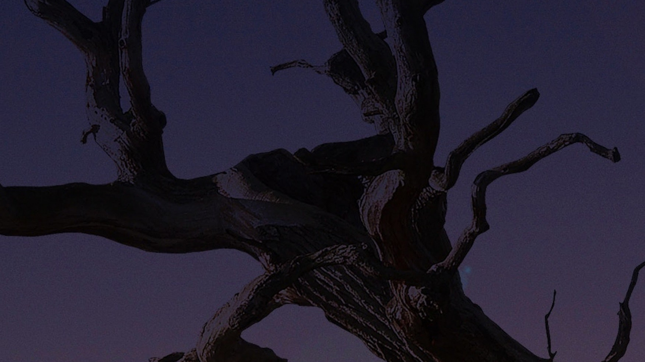 Apple, IPhone, IPhone X, Manzana, Ios. Wallpaper in 1280x720 Resolution