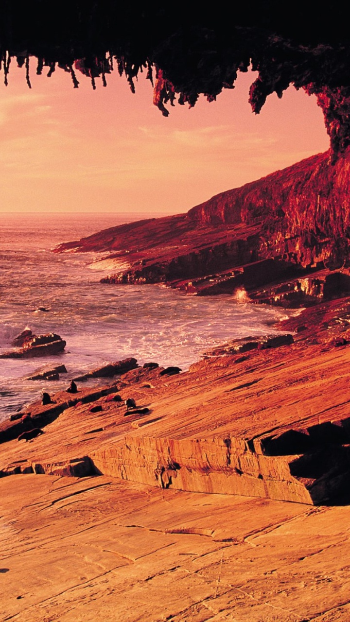 Les Gens Sur la Plage Pendant le Coucher du Soleil. Wallpaper in 720x1280 Resolution