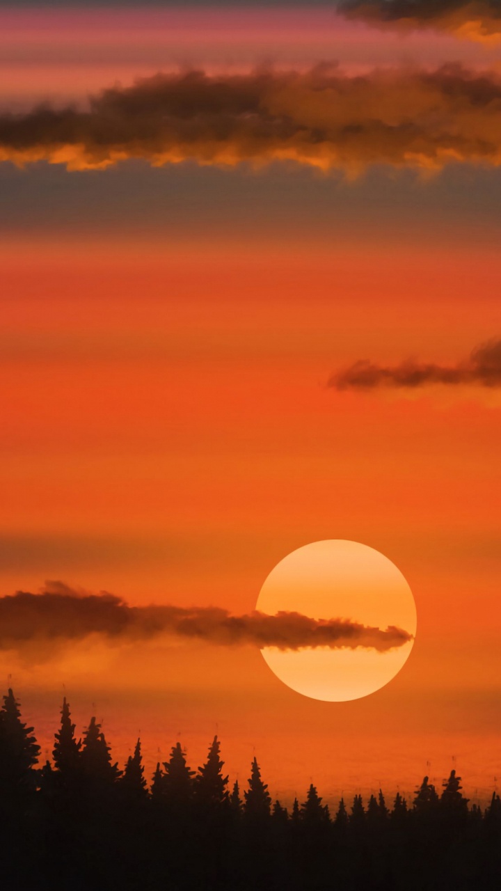 Sunlight, Sunset, Cloud, Atmosphere, Daytime. Wallpaper in 720x1280 Resolution