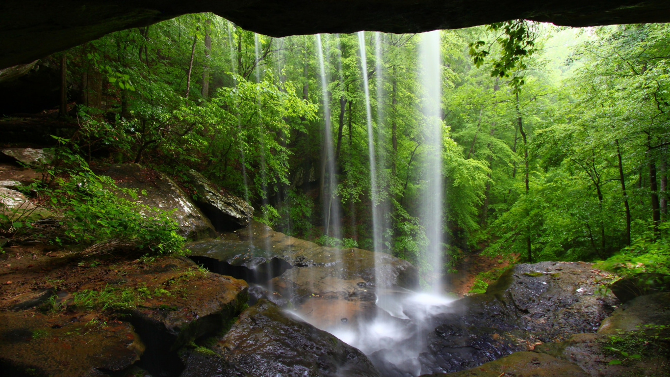 L'eau Tombe au Milieu de la Forêt Pendant la Journée. Wallpaper in 1366x768 Resolution