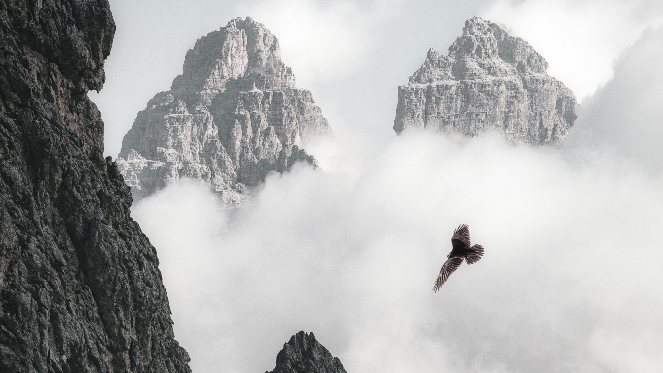 Red Bird Flying Over The Mountain. Wallpaper in 1366x768 Resolution