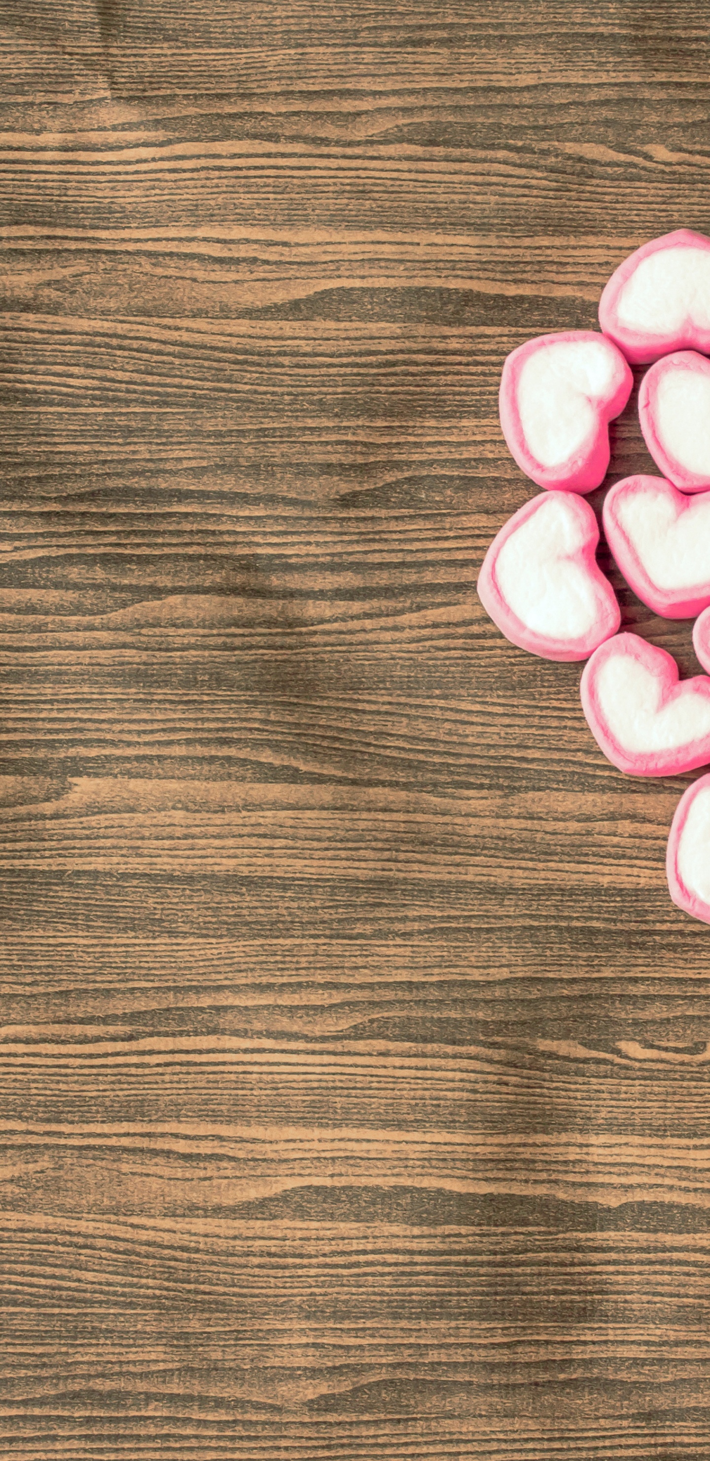 Pink, Cœur, Amour, Pétale, Chiot Amour. Wallpaper in 1440x2960 Resolution