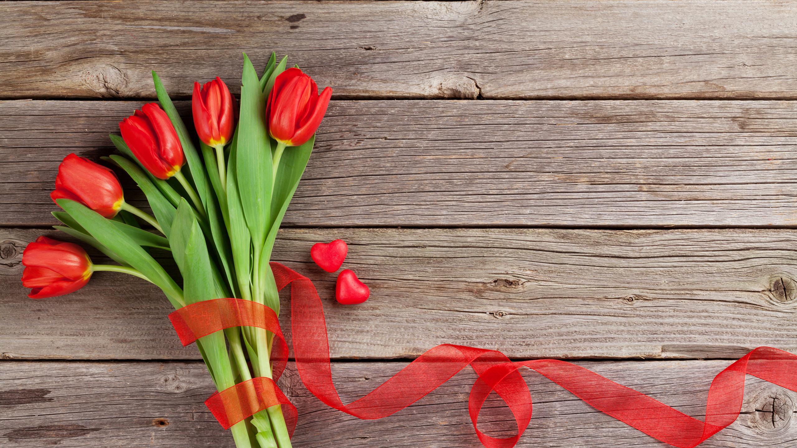 Tulip, la Floraison de la Plante, Tige de la Plante, le Jour de Valentines, L'arrangement Des Fleurs. Wallpaper in 2560x1440 Resolution