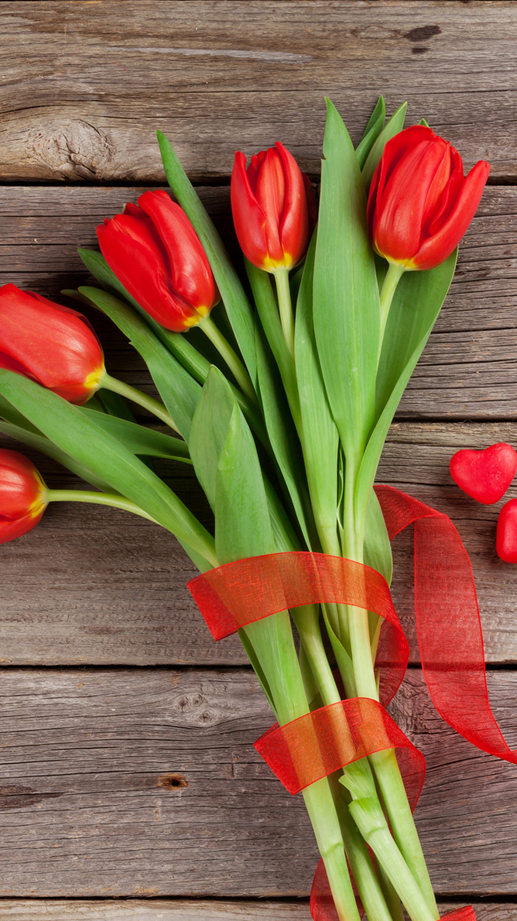 Tulip, la Floraison de la Plante, Tige de la Plante, le Jour de Valentines, L'arrangement Des Fleurs. Wallpaper in 750x1334 Resolution