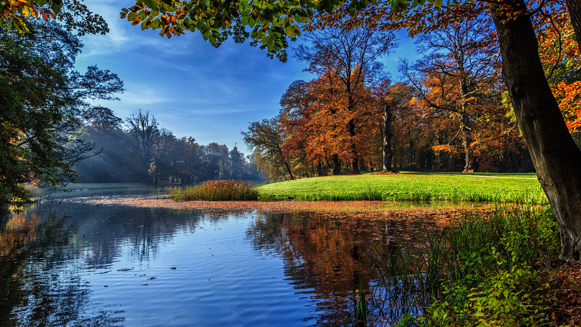 Tagsüber Grüne Wiese in Der Nähe Eines Gewässers Water. Wallpaper in 1920x1080 Resolution