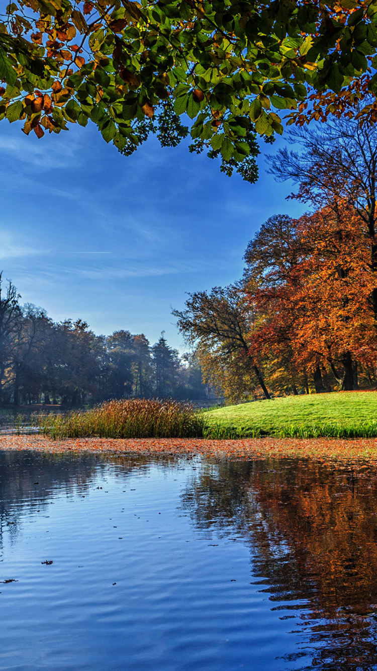 Tagsüber Grüne Wiese in Der Nähe Eines Gewässers Water. Wallpaper in 750x1334 Resolution