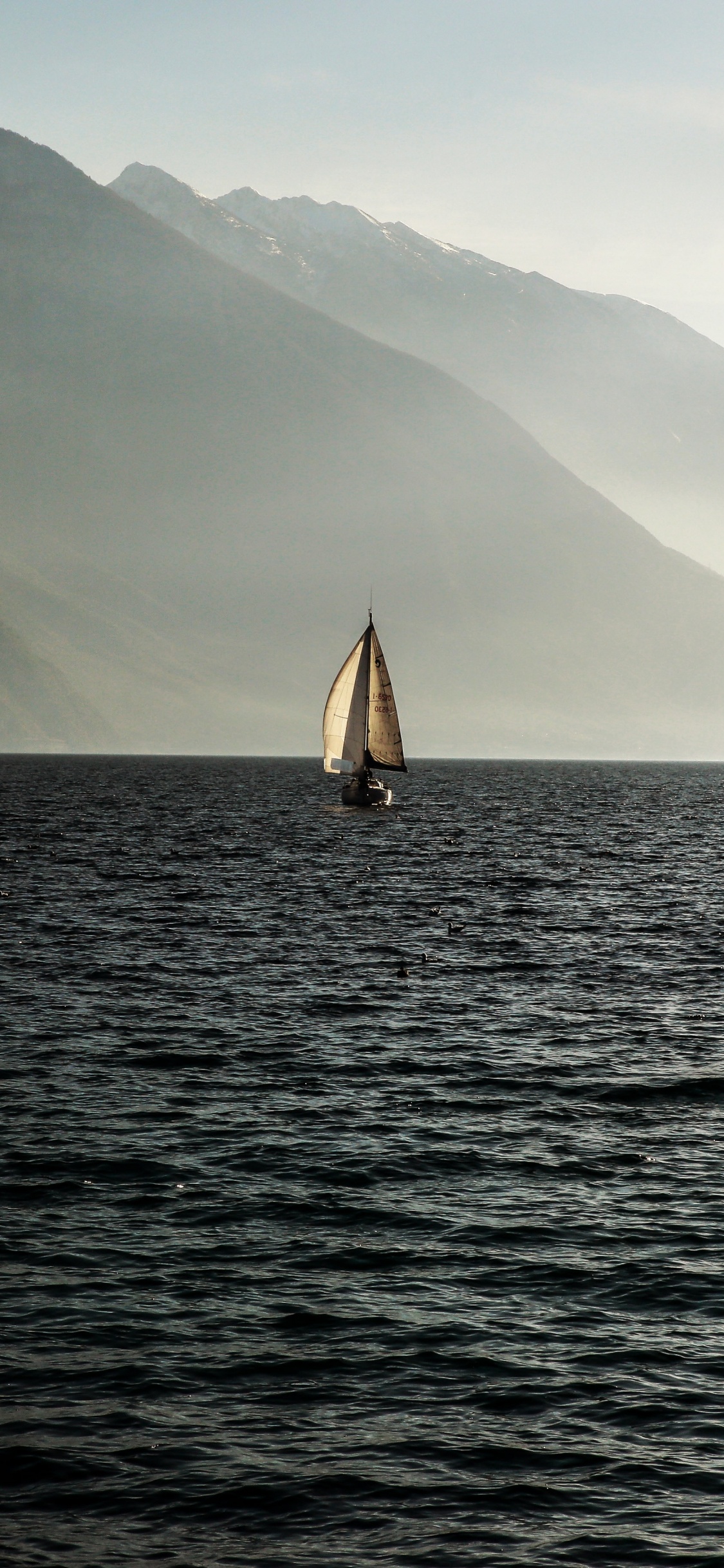 Sailboat on Sea Near Mountain During Daytime. Wallpaper in 1125x2436 Resolution