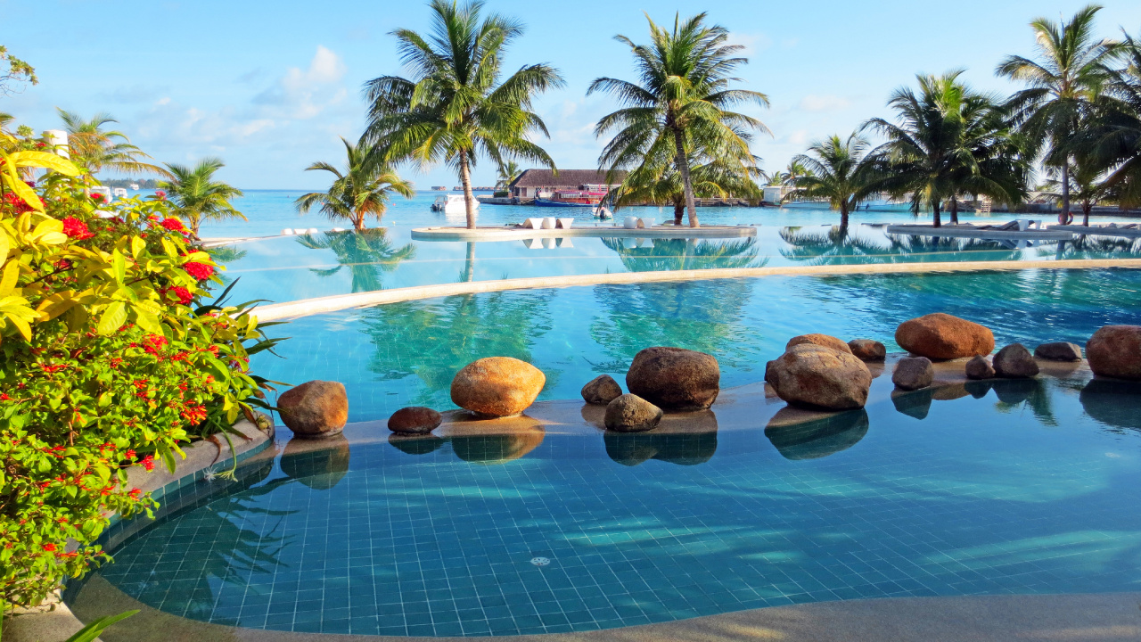 Playa, Piscina, Resort, Vacaciones, Caribe. Wallpaper in 1280x720 Resolution