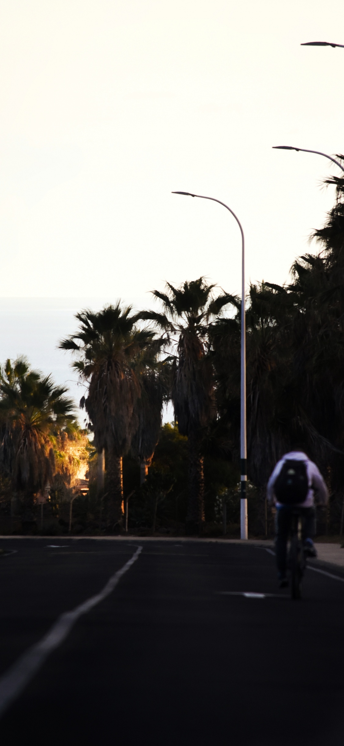 Person Riding Bicycle on Road Near Palm Trees During Daytime. Wallpaper in 1125x2436 Resolution