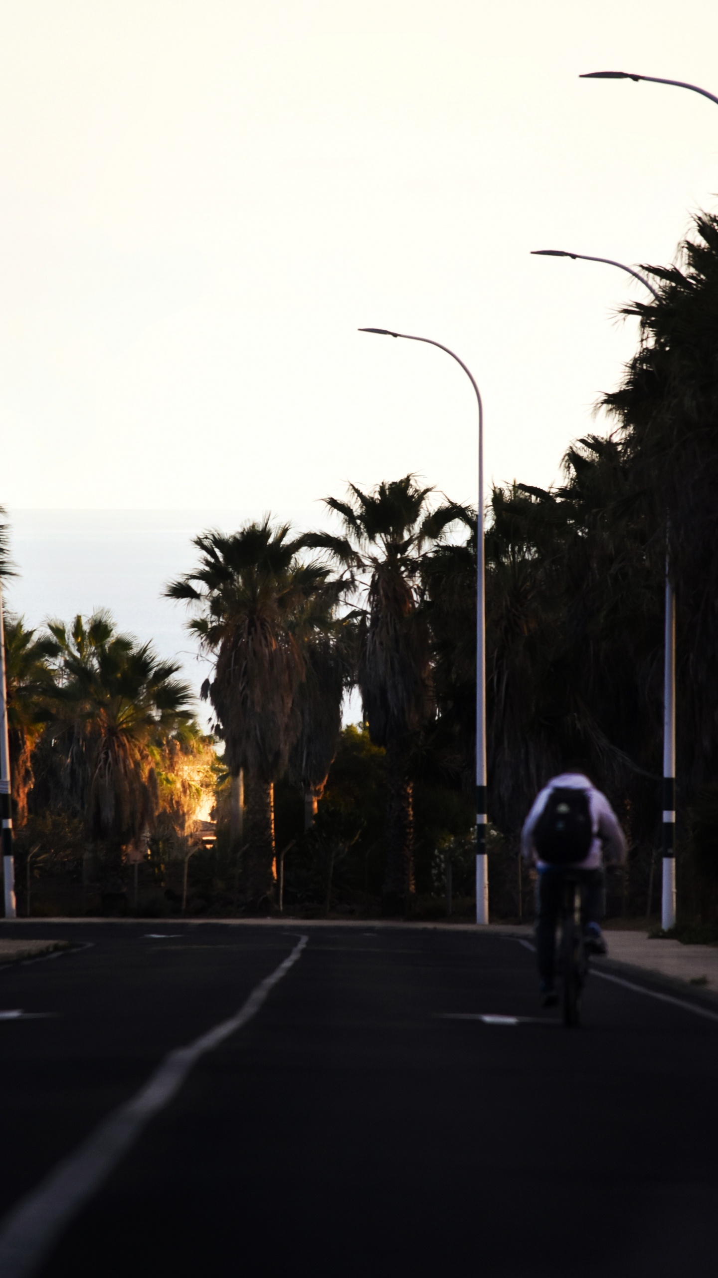 Person Riding Bicycle on Road Near Palm Trees During Daytime. Wallpaper in 1440x2560 Resolution