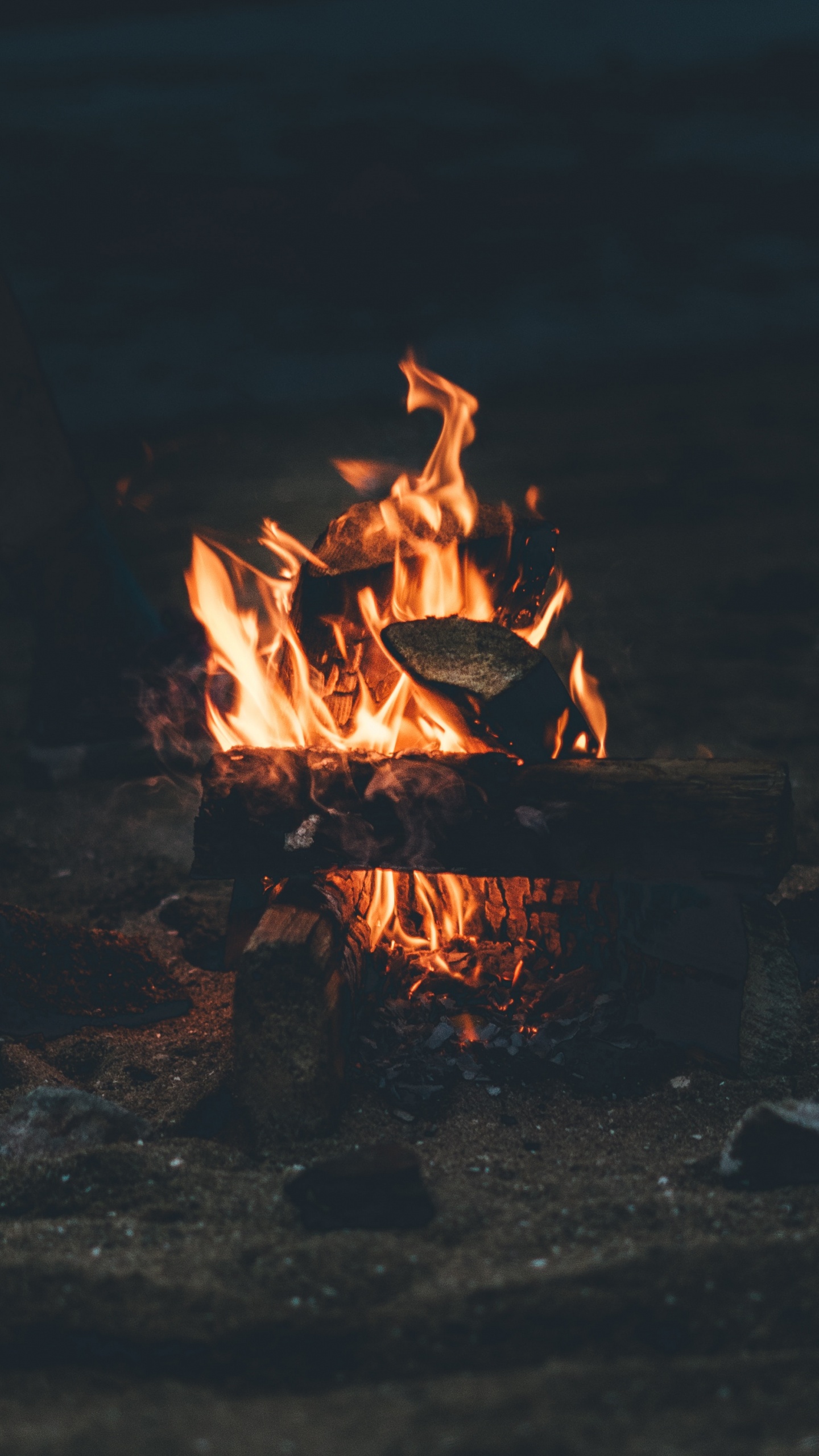 Burning Wood on Fire Pit. Wallpaper in 1440x2560 Resolution