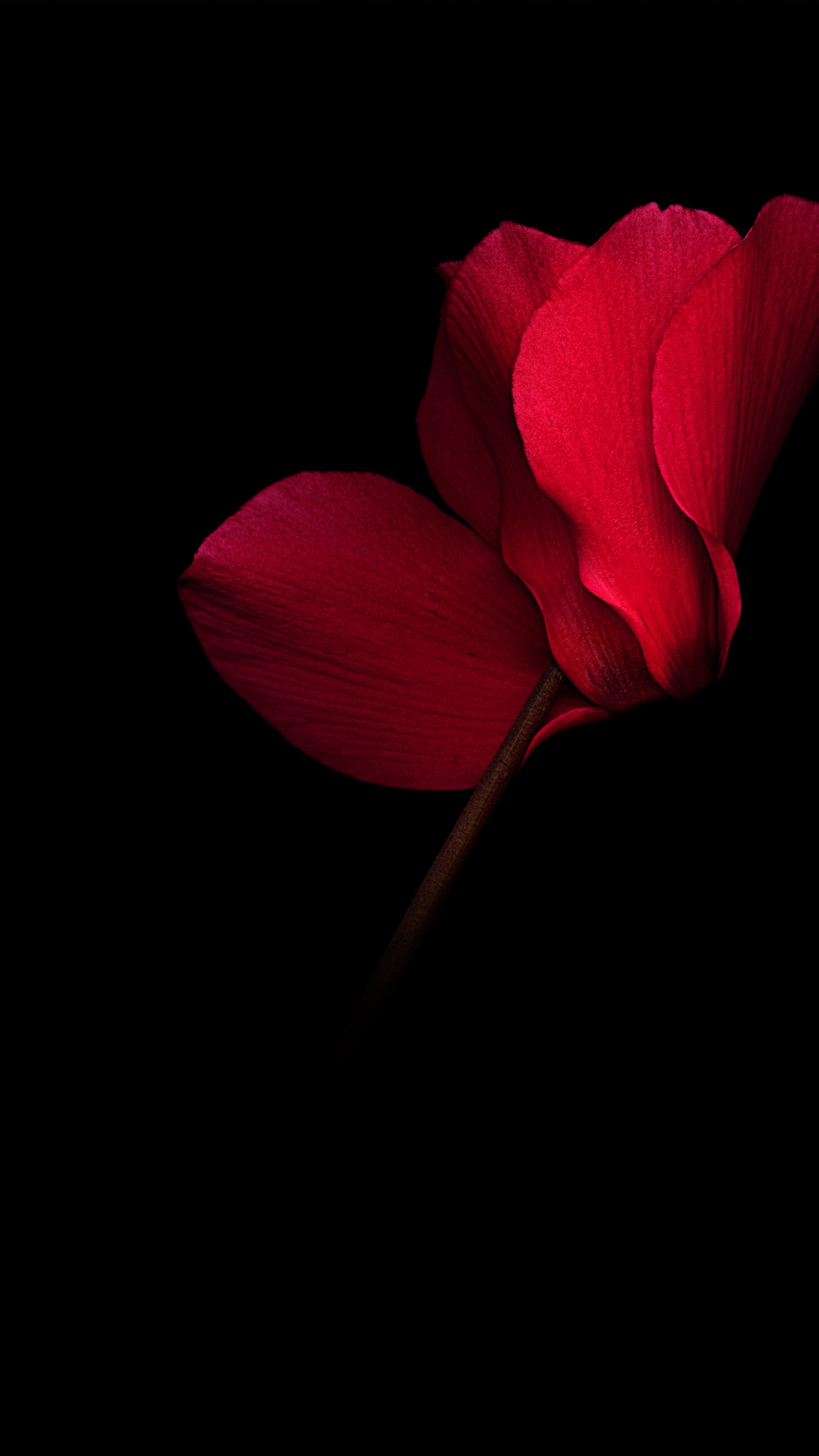 内, Huawei Mate, OLED, Huawei Mate RS, 华为mate 20 rs Porsche设计 壁纸 1440x2560 允许