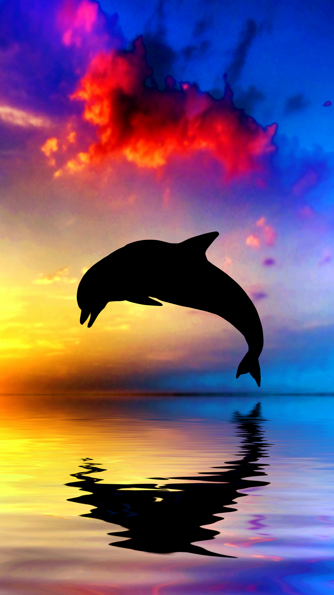 Sunset Dolphin, Common Bottlenose Dolphin, Dolphin, Wholphin, Sunset. Wallpaper in 1080x1920 Resolution