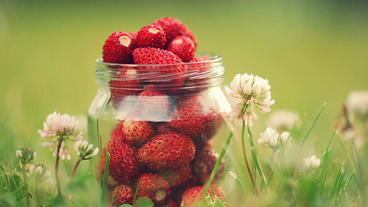 Strawberries in Clear Glass Jar. Wallpaper in 1280x720 Resolution