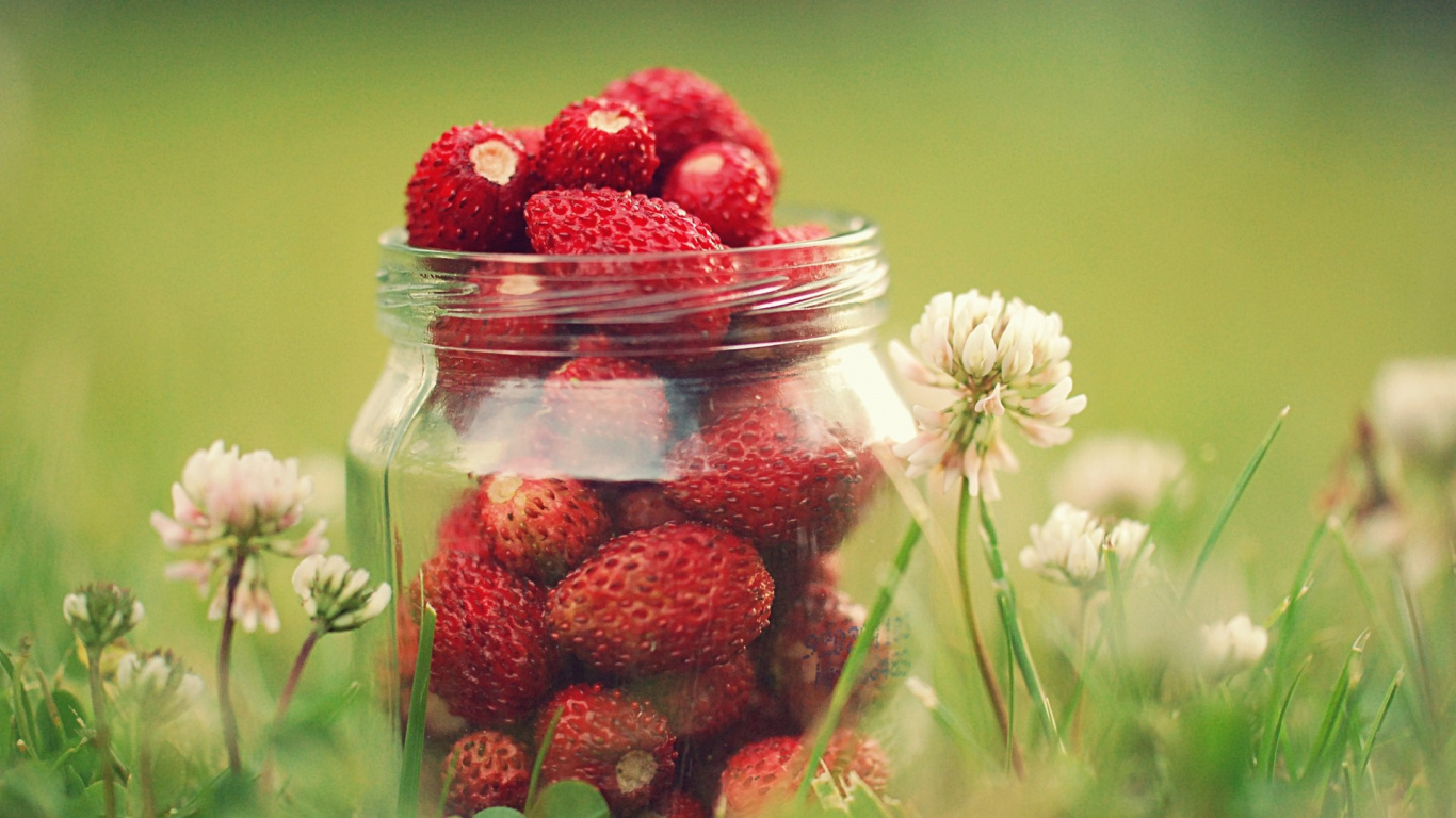 Strawberries in Clear Glass Jar. Wallpaper in 1366x768 Resolution