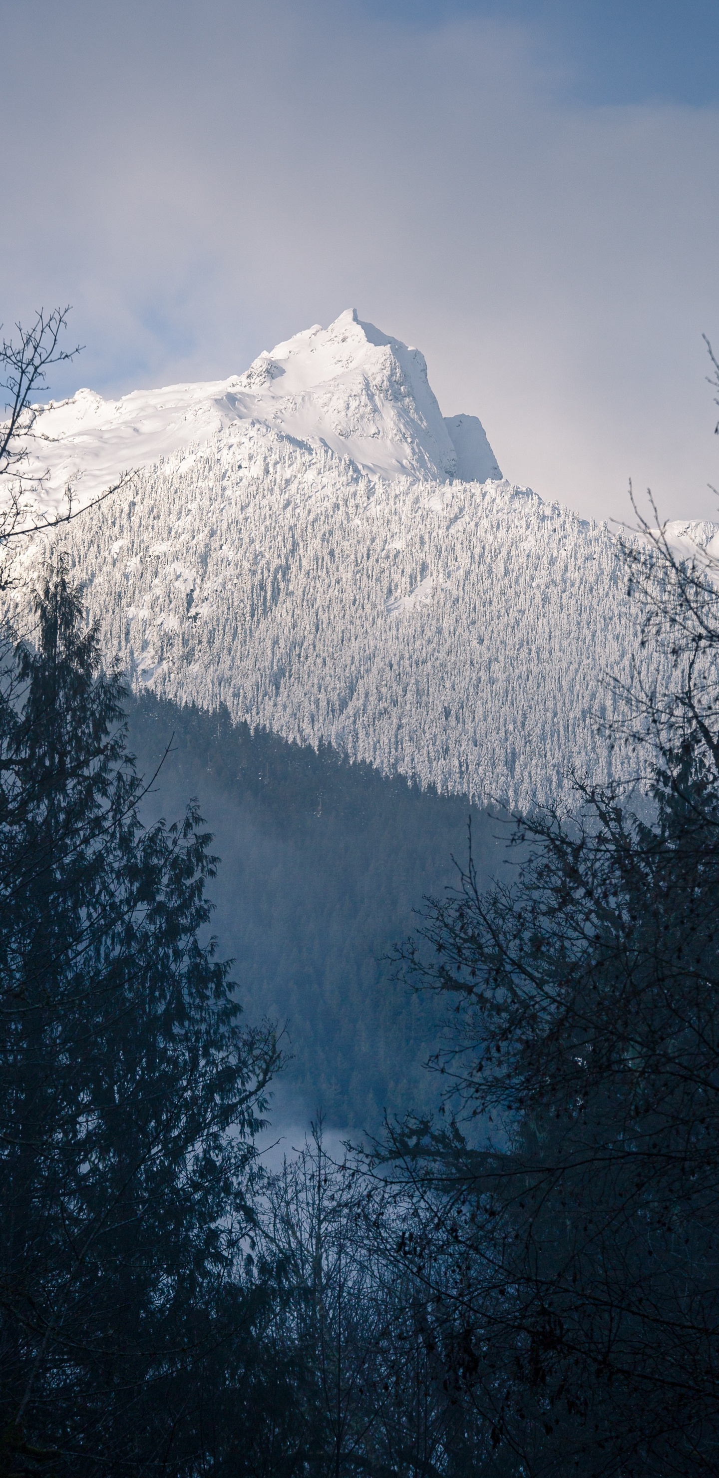 Neige, Les Reliefs Montagneux, Mount Scenery, Hiver, la Journée. Wallpaper in 1440x2960 Resolution