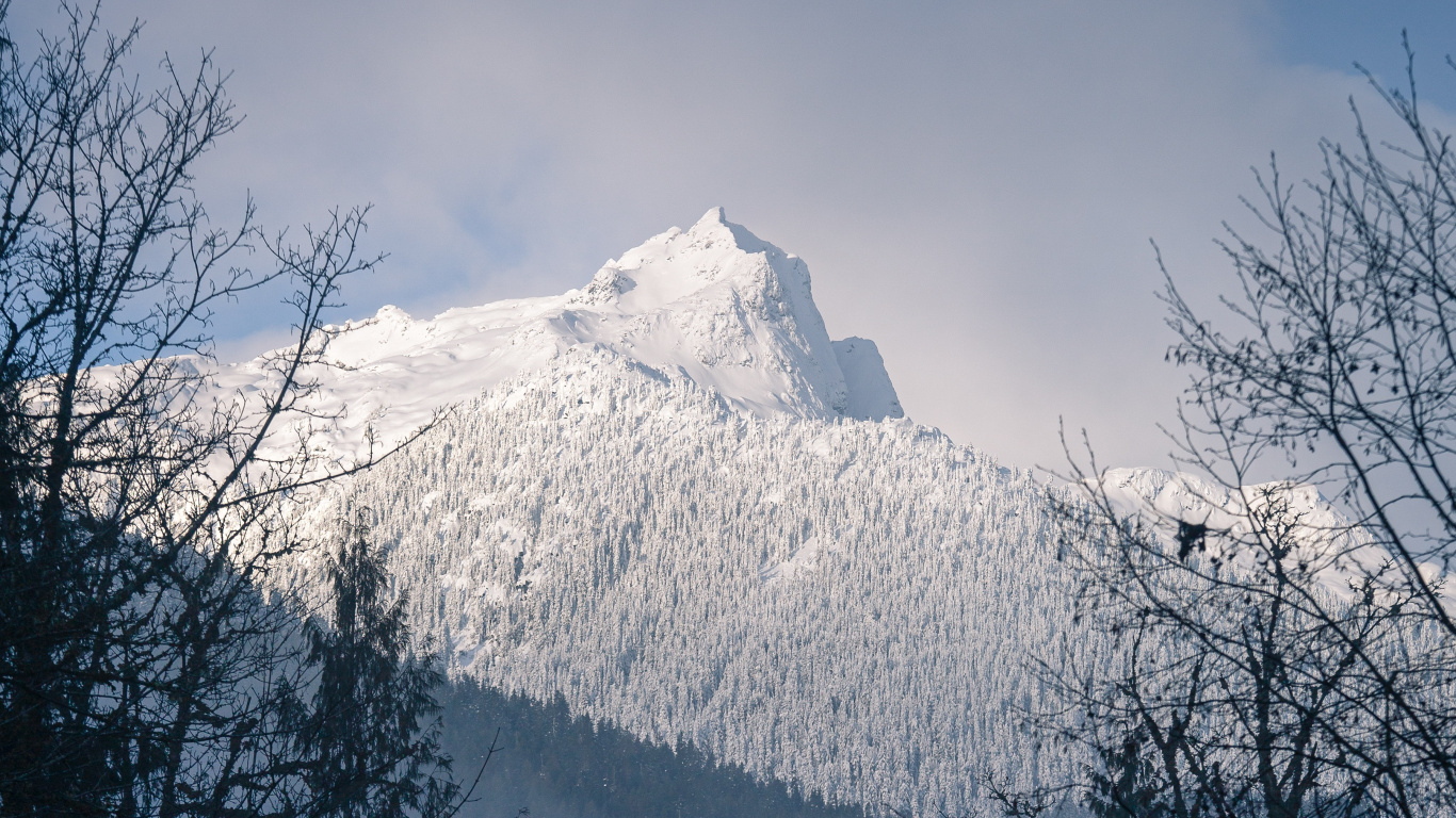 Sonnenlicht, Schnee, Bergigen Landschaftsformen, Mount Scenery, Baum. Wallpaper in 1366x768 Resolution