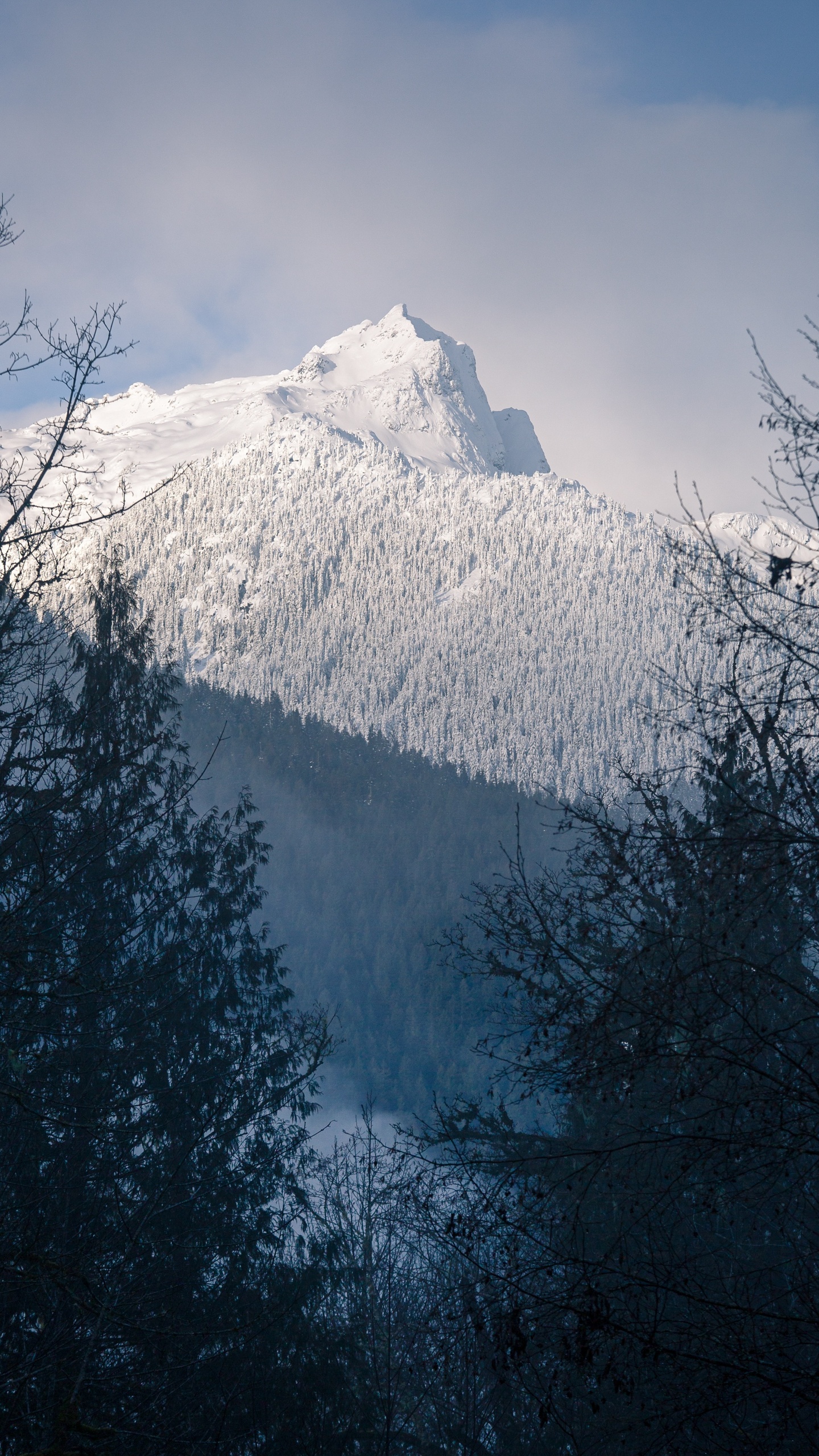 Sonnenlicht, Schnee, Bergigen Landschaftsformen, Mount Scenery, Baum. Wallpaper in 1440x2560 Resolution