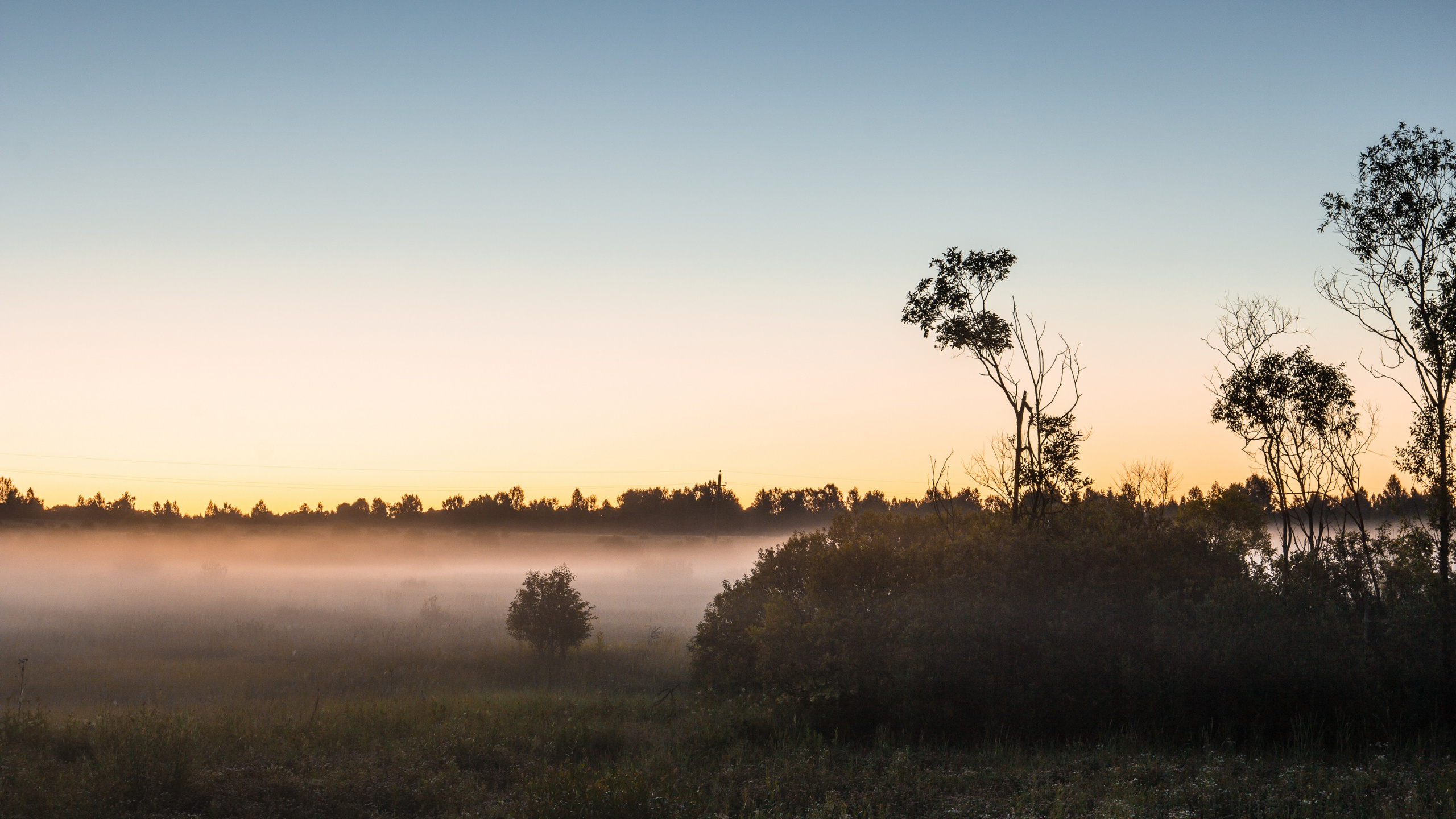Grüne Wiese Bei Sonnenuntergang. Wallpaper in 2560x1440 Resolution