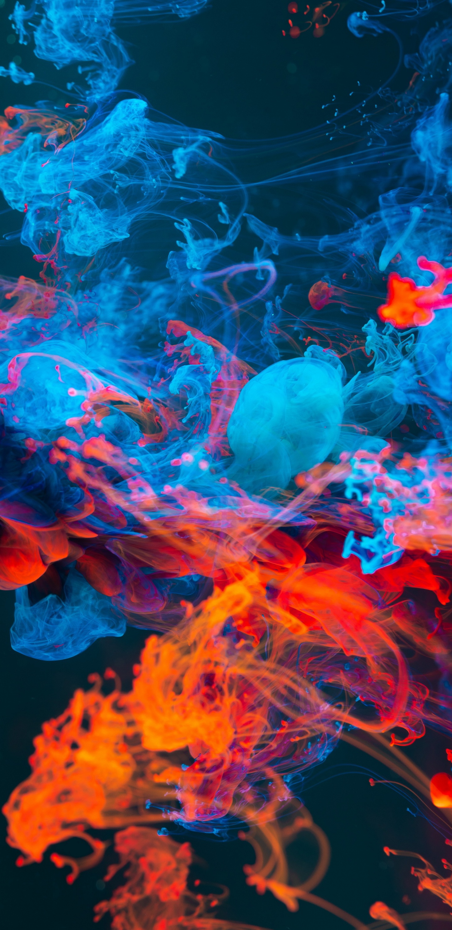 Tablet, Äpfeln, IPS-Panel, Wasser, Licht. Wallpaper in 1440x2960 Resolution