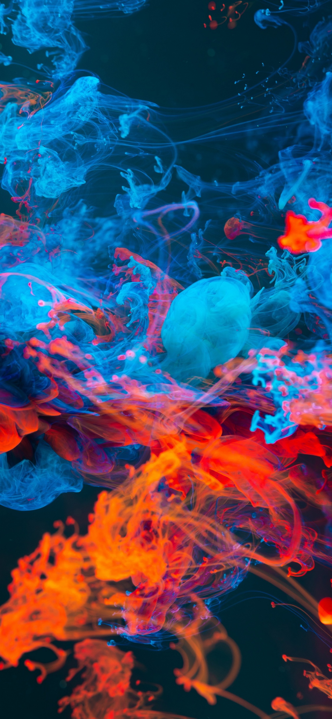 Tablet, Apple, Panneau IPS, Eau, Lumière. Wallpaper in 1125x2436 Resolution