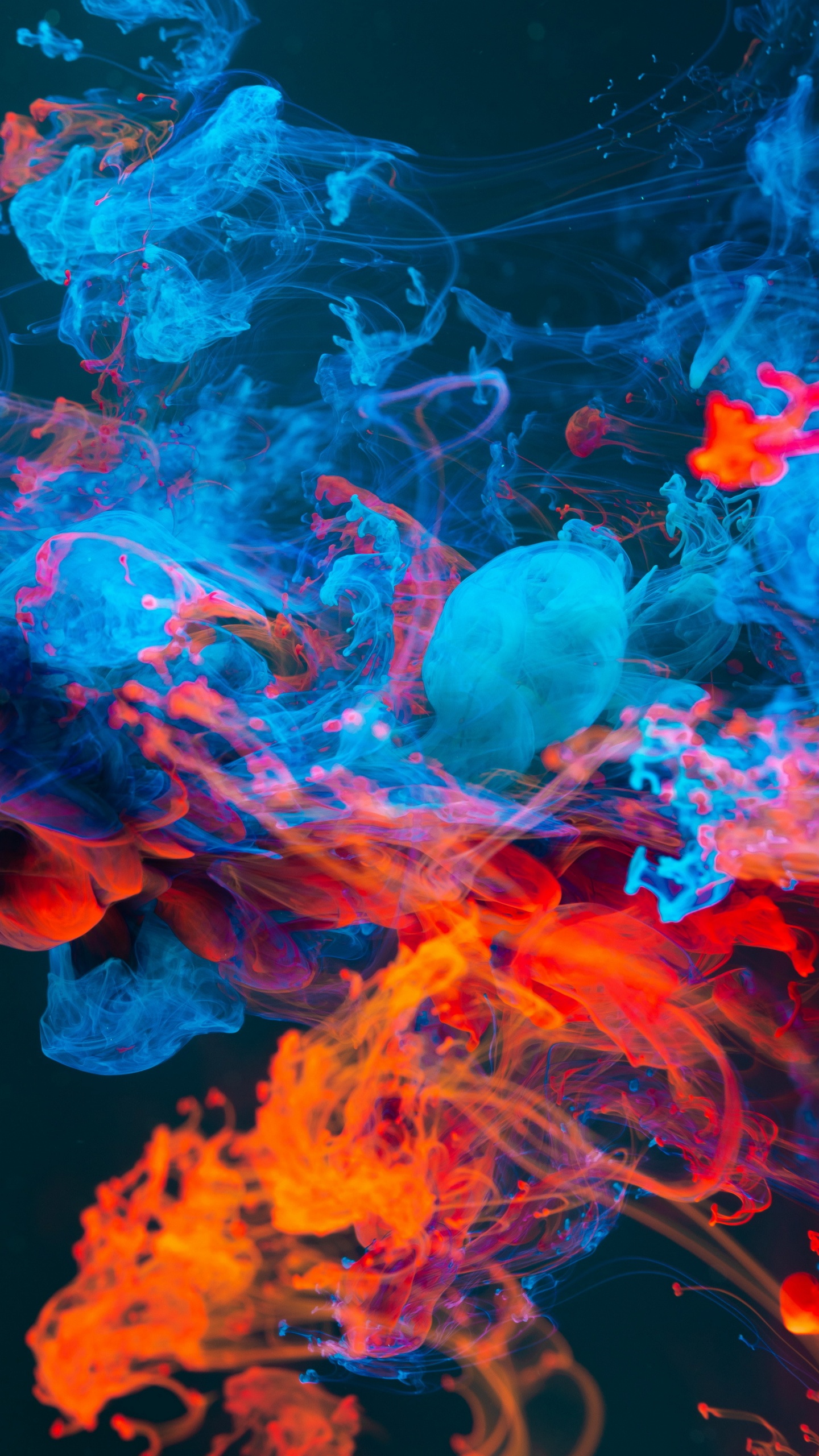 Tablet, Apples, IPS Panel, Water, Light. Wallpaper in 1440x2560 Resolution