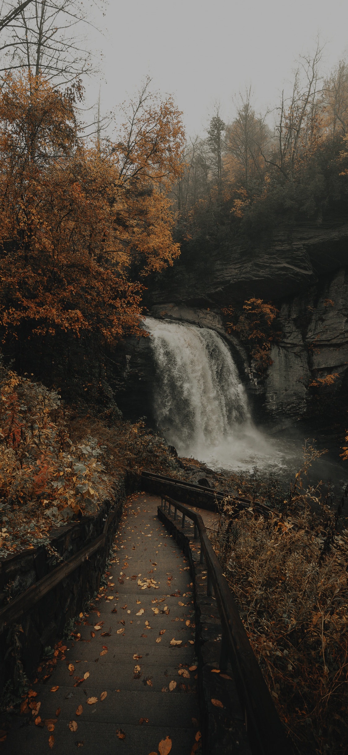 Corps de L'eau, Cascade, Nature, Eau, Paysage Naturel. Wallpaper in 1125x2436 Resolution
